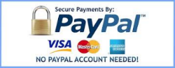 PayPal Iconjpg.jpg