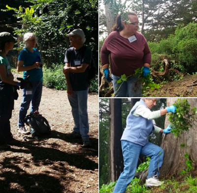 Volunteering at Strawberry Hill 