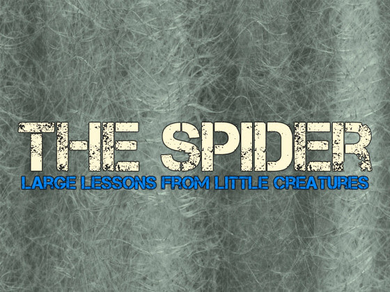 The-Spider.jpg