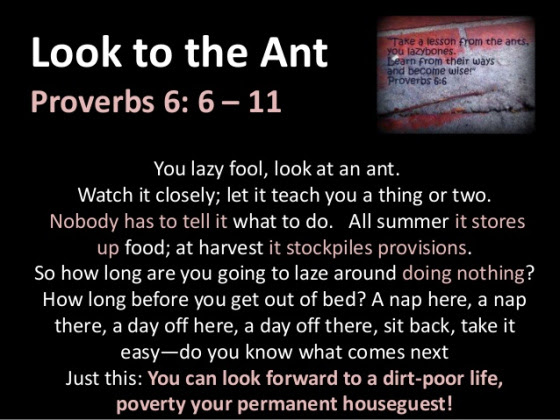 Look-At-The-Ant.jpg