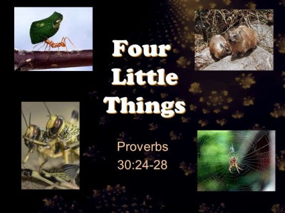 Four-Little-Things.jpg